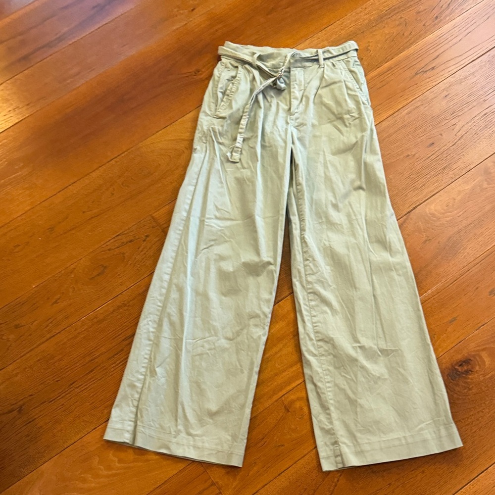 Everlane The Pleated Wide Leg Chino Pants